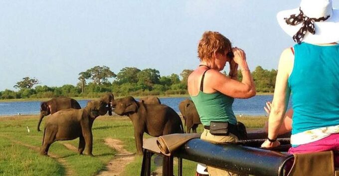 From Ella:Transfer to Galle/Mirissa With Udawalawa Safari - Cancellation and Refund Policy