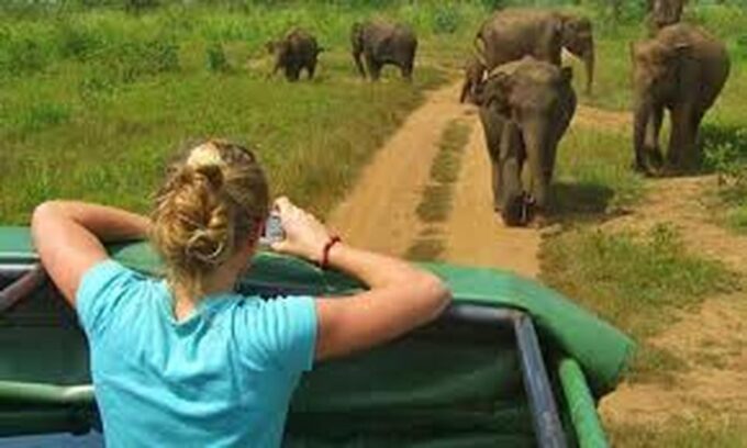 From Ella:Transfer to Galle/Mirissa With Udawalawa Safari - Payment Options
