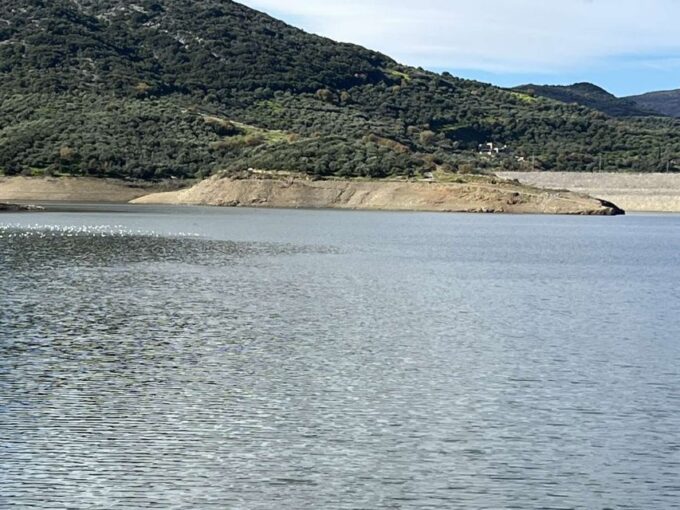 From Elounda Cretan Lasithi Plateau, Zeus Cave, Oldest Tree - Tour Duration and Private Group