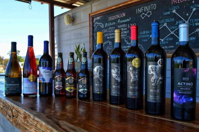 From Ensenada: Ojos Negros Valley Cheese & Wine Tasting Tour - Final Thoughts: Is It Worth It?