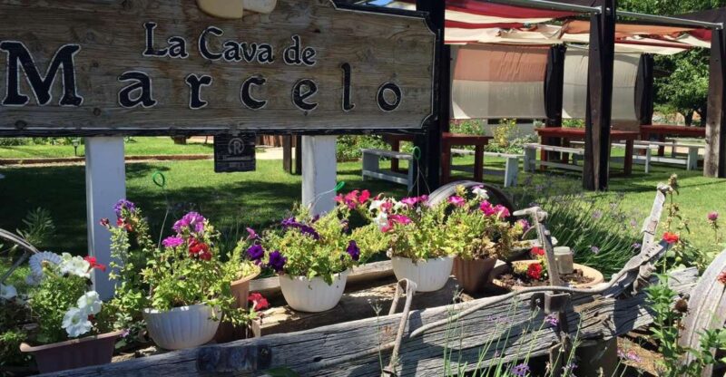 From Ensenada: Ojos Negros Valley Cheese & Wine Tasting Tour - Key Points