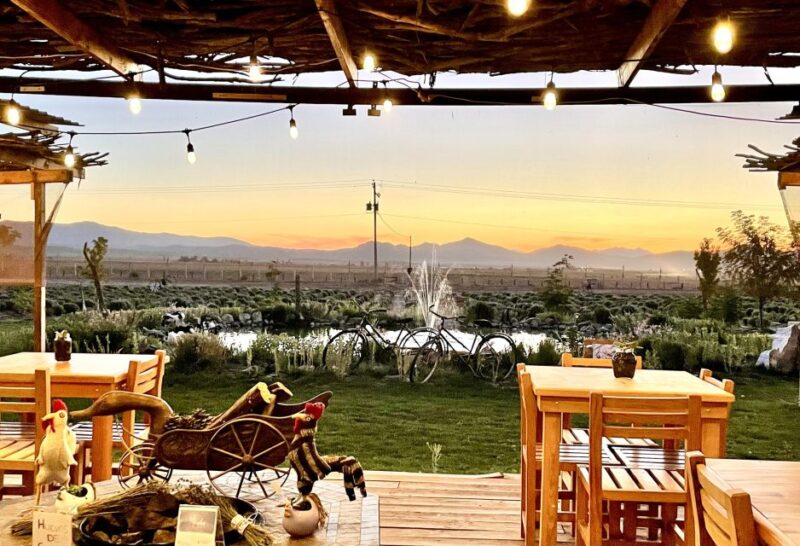 From Ensenada: Ojos Negros Valley Cheese & Wine Tasting Tour - Important Information