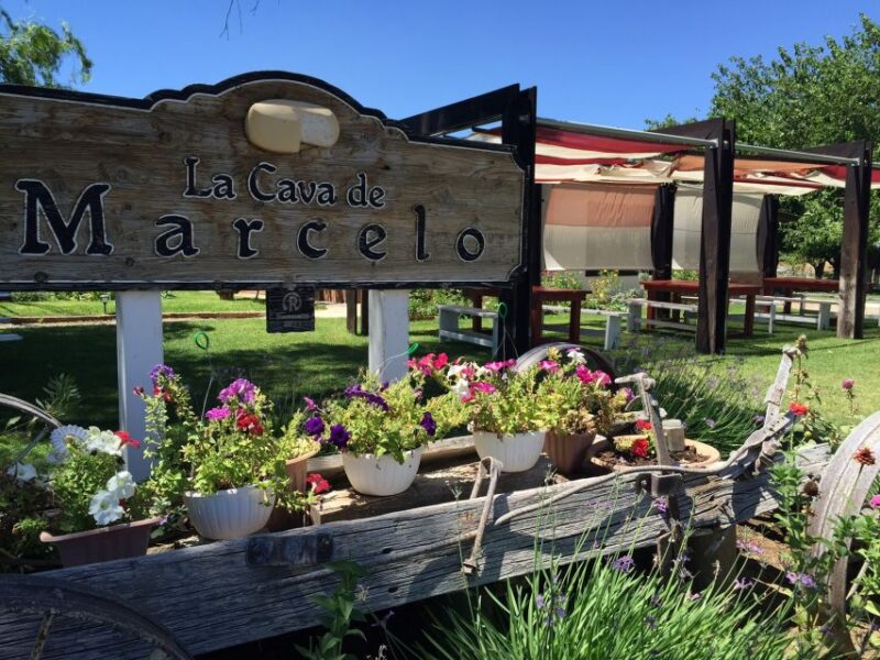 From Ensenada: Ojos Negros Valley Cheese & Wine Tasting Tour - Customer Feedback