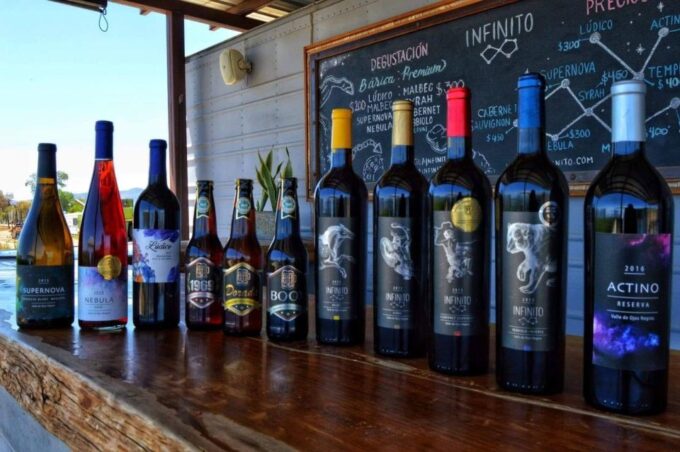 From Ensenada: Ojos Negros Valley Cheese & Wine Tasting Tour - Visiting Infinito Winery