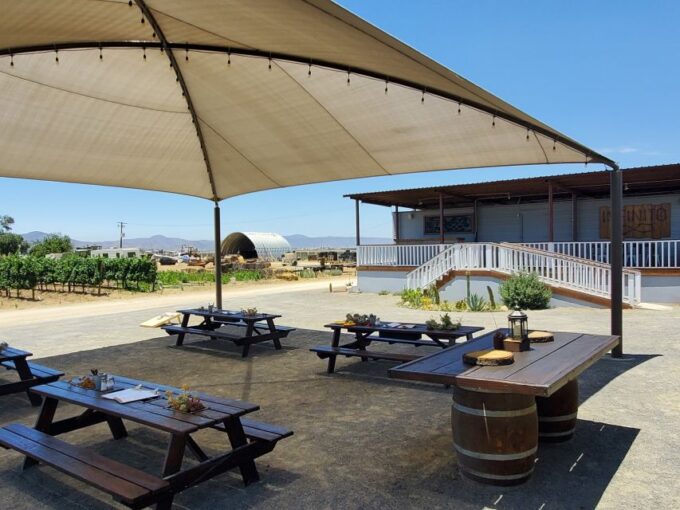 From Ensenada: Ojos Negros Valley Cheese & Wine Tasting Tour - Frequently Asked Questions