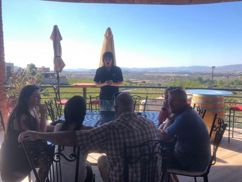 From Ensenada: Wine Tasting at Guadalupe Valley Ensenada - Key Points