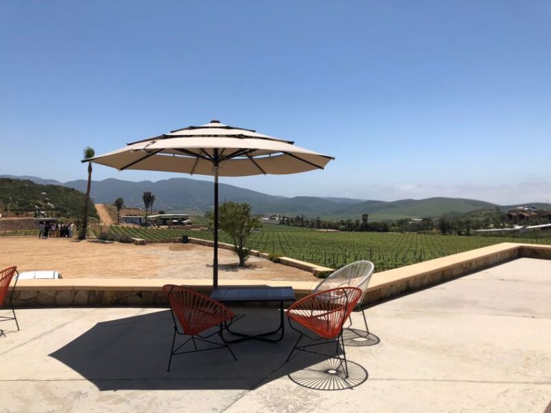From Ensenada: Wine Tasting at Guadalupe Valley Ensenada - Unique Experience and Highlights