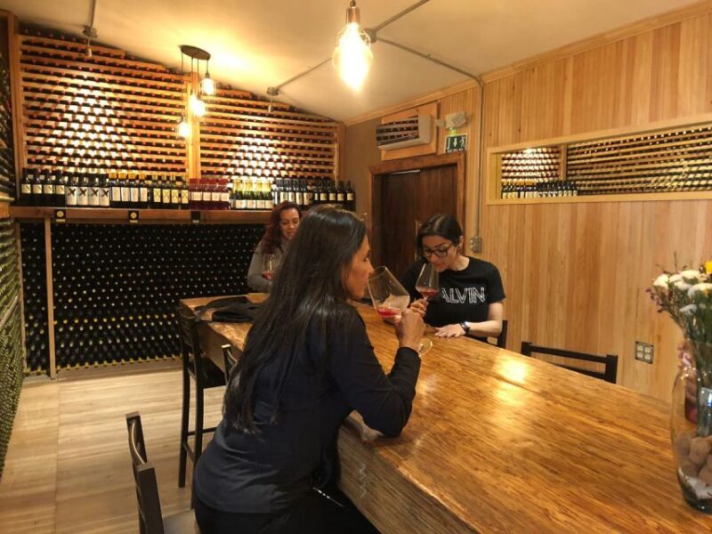 From Ensenada: Wine Tasting at Guadalupe Valley Ensenada - Language and Group Information