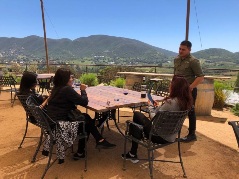 From Ensenada: Wine Tasting at Guadalupe Valley Ensenada - Customer Reviews and Feedback