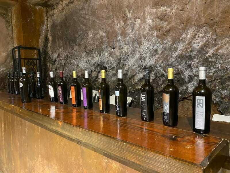From Ensenada: Wine Tour at Guadalupe Valley Ensenada - The Experience of the Tour: Logistics and Comfort