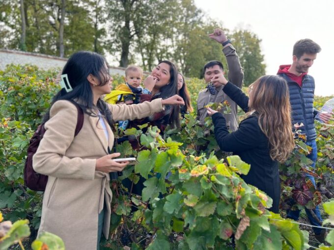From Epernay: Afternoon Champagne Tour With 6 Tastings - Sampling Champagne Aperitifs