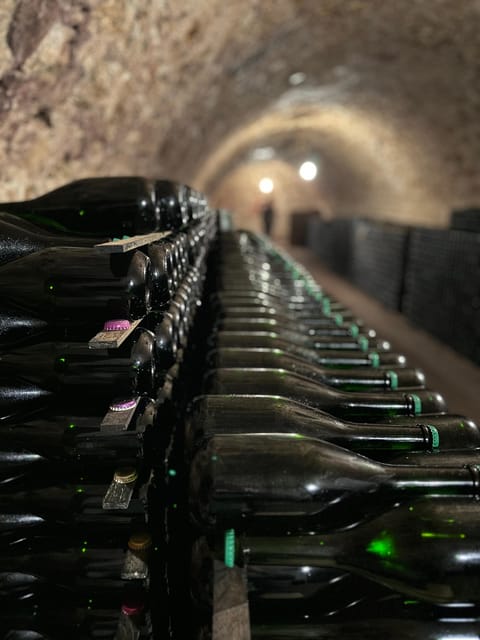 From Epernay : Bubble Champagne Tour 6 Tastings - The Art of Champagne Tasting