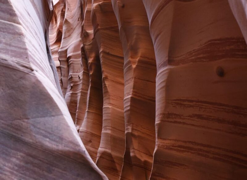 From Escalante: Zebra Slot Canyon Guided Tour and Hike - Key Points