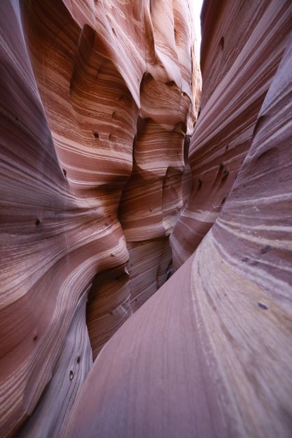 From Escalante: Zebra Slot Canyon Guided Tour and Hike - What to Bring