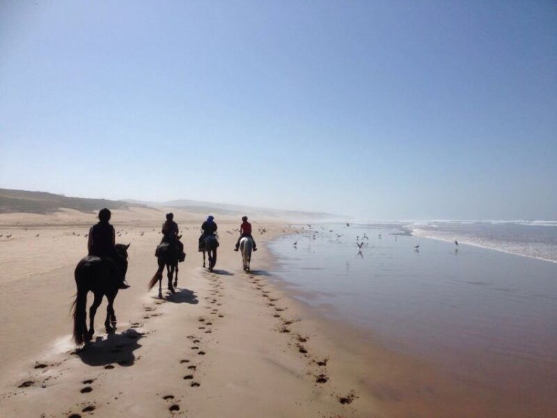 From Essaouira: 1-Hour Horse Ride - Key Points