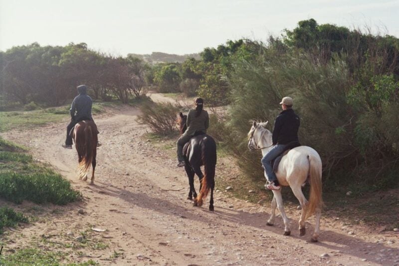 From Essaouira: 1-Hour Horse Ride - Customer Reviews and Ratings