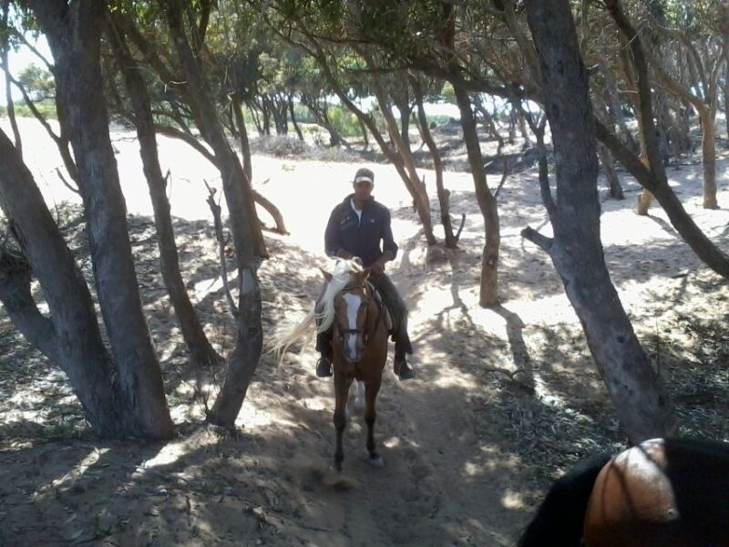 From Essaouira: 1-Hour Horse Ride - Safety and Considerations