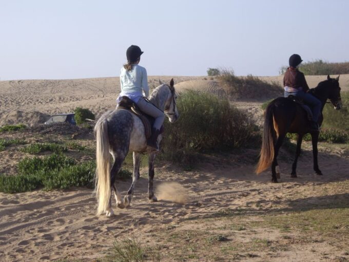 From Essaouira: 1-Hour Horse Ride - Frequently Asked Questions