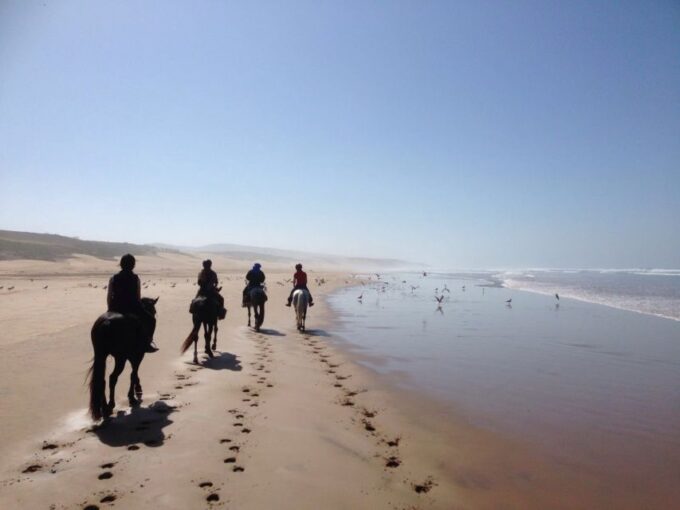 From Essaouira: 1-Hour Horse Ride With Sunset - What to Bring