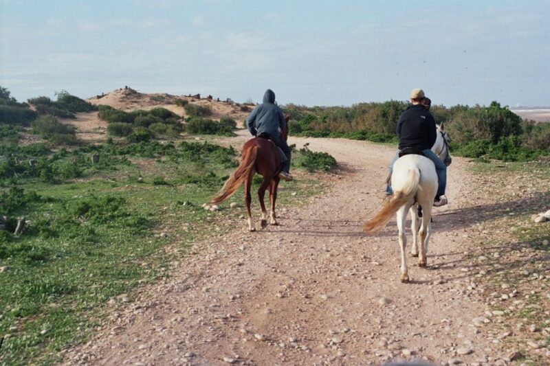 From Essaouira: 2h Horseback Ride With Sunset - Booking Information