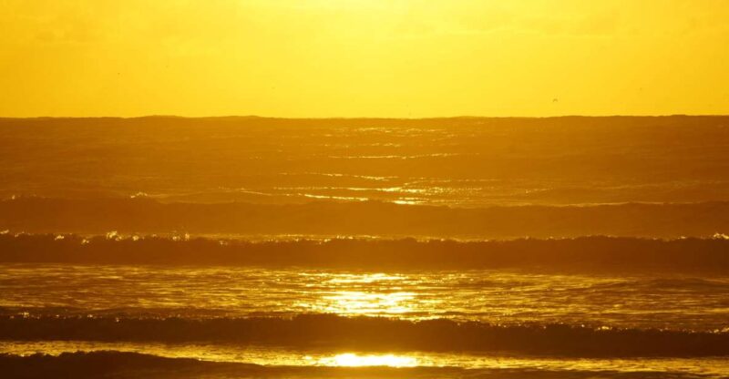 From Essaouira: 2h Horseback Ride With Sunset - Experience Details