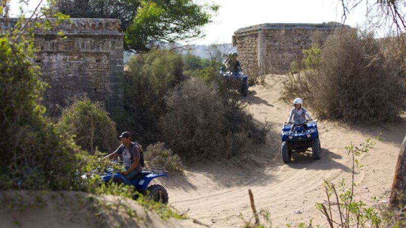 From Essaouira: 3-Hour Quad Biking Tour - Key Points