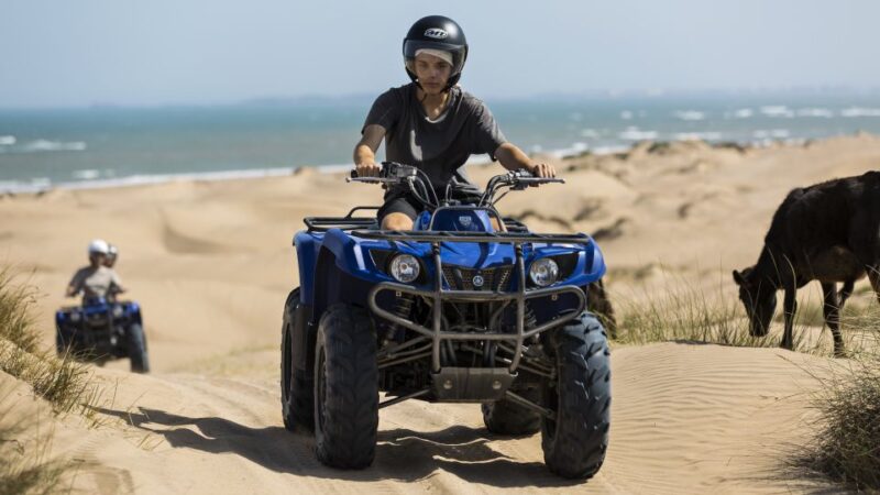 From Essaouira: 3-Hour Quad Biking Tour - Customer Feedback