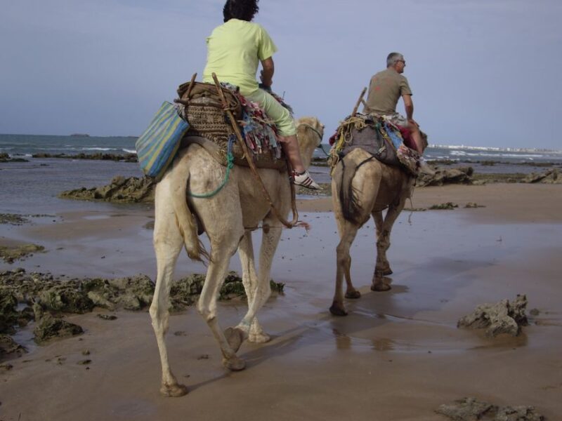 From Essaouira: Camel Tour With Overnight Stay in a Tent - Experience Highlights