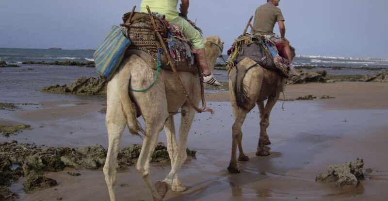 From Essaouira: Camel Tour With Overnight Stay in a Tent - Itinerary Details