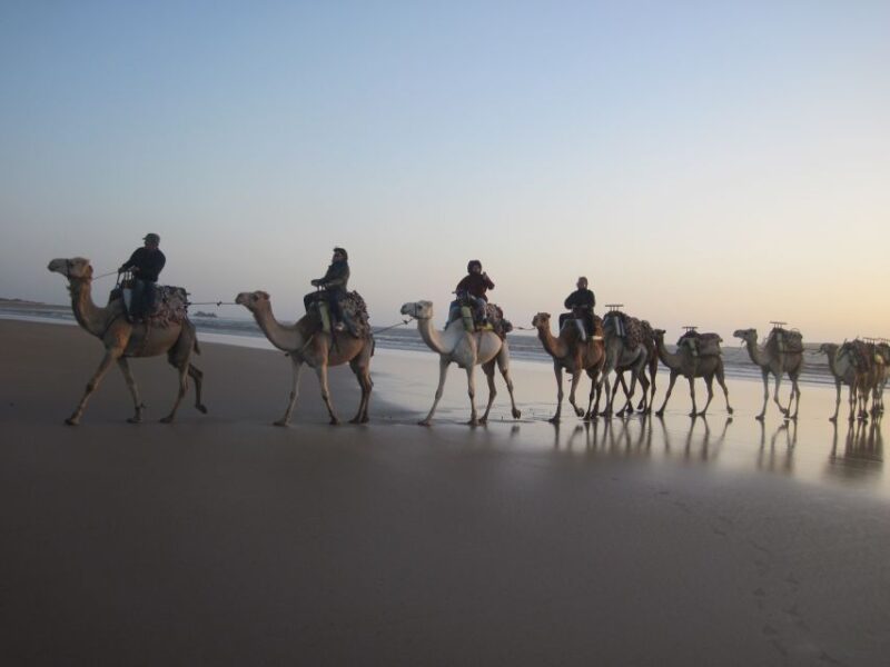 From Essaouira: Camel Tour With Overnight Stay in a Tent - Family-Friendly Information