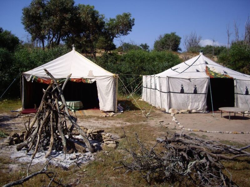 From Essaouira: Camel Tour With Overnight Stay in a Tent - Pick-up and Drop-off