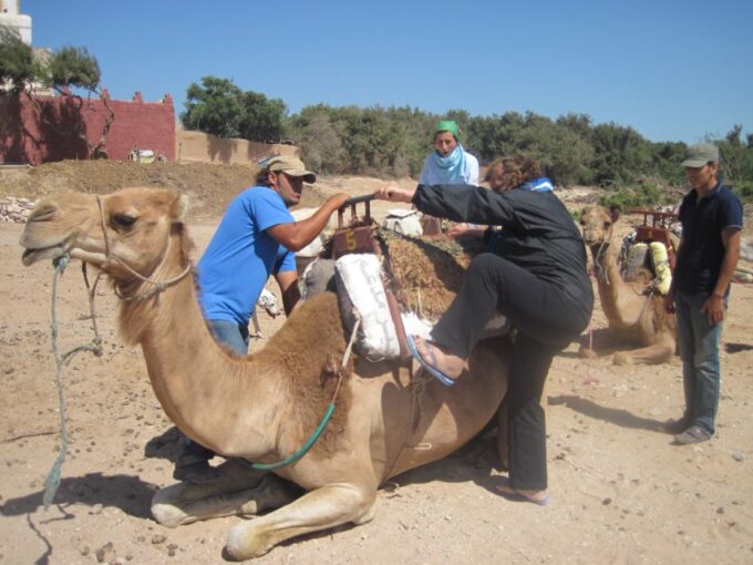 From Essaouira: Camel Tour With Overnight Stay in a Tent - Guide Availability and Customer Ratings