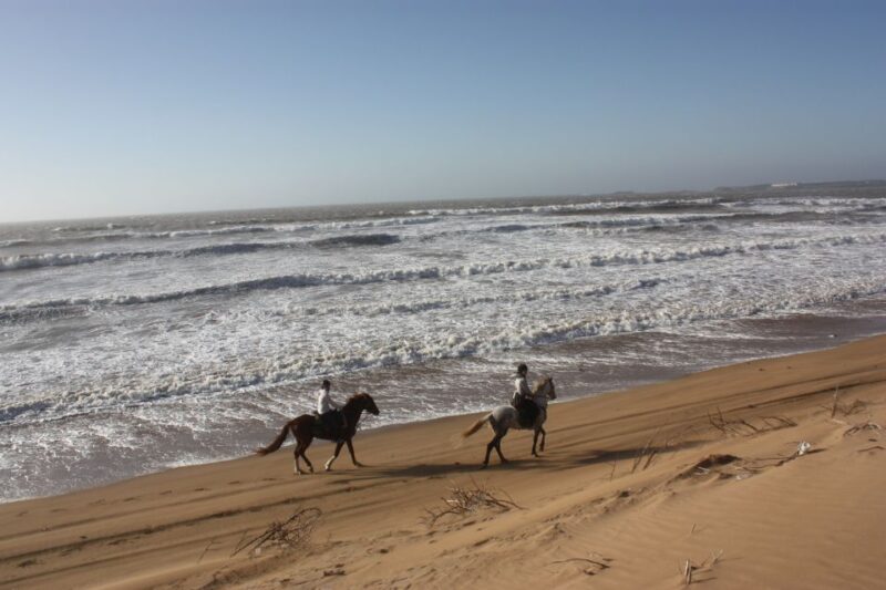 From Essaouira: Horseback Tour With Overnight Berber Camp - Experience Highlights