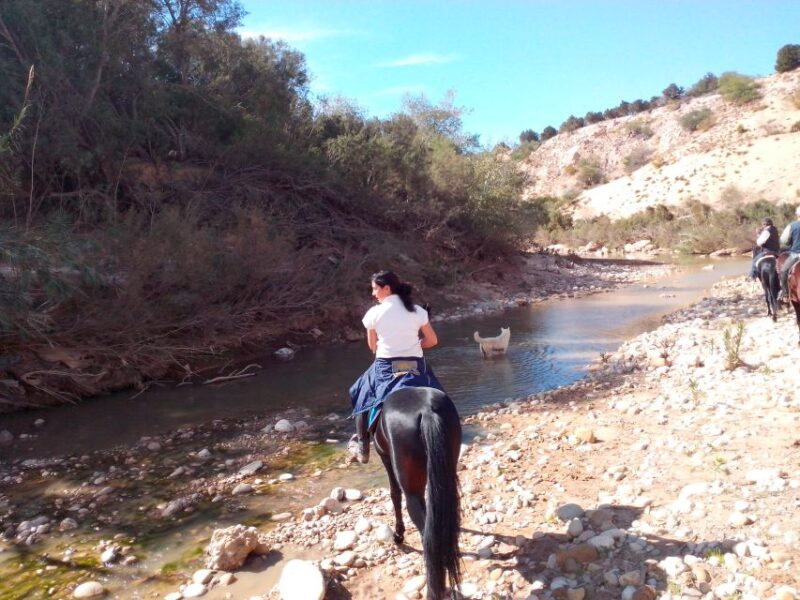 From Essaouira: Horseback Tour With Overnight Berber Camp - Group Size and Languages