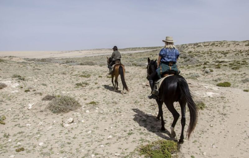 From Essaouira: Scenic Diabat Horseback Ride With Transfer - Experience and Highlights