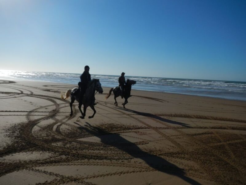 From Essaouira: Scenic Diabat Horseback Ride With Transfer - Inclusions and Meeting Point
