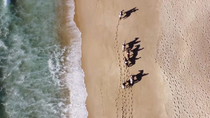 From Evora: Horseback Riding on Comporta Beach - Pricing and Reservation
