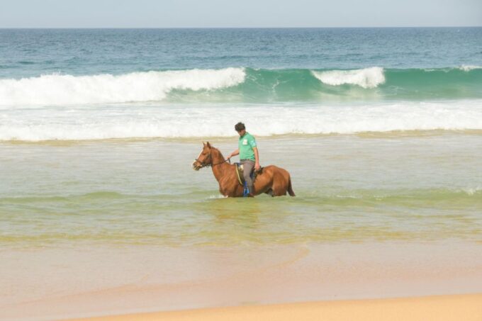From Evora: Horseback Riding on Comporta Beach - Participant Restrictions