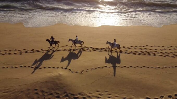 From Evora: Horseback Riding on Comporta Beach - Cancellation Policy