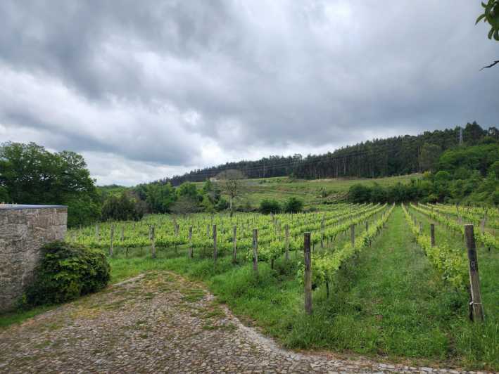 From Fafe: Full-Day Tour in Guimarães & Fafe - Inclusions