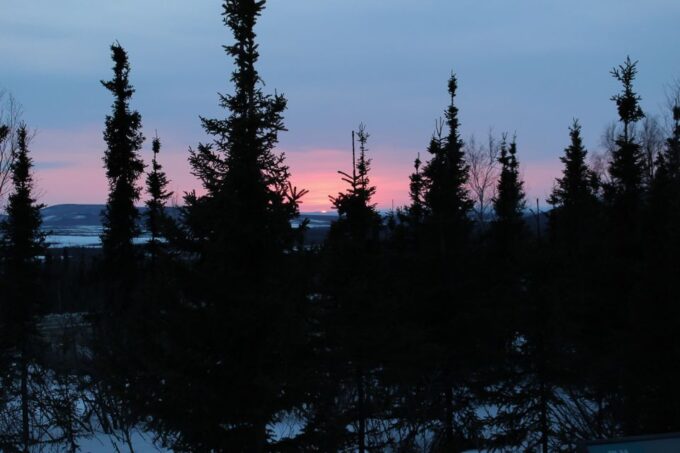 From Fairbanks: Arctic Circle Full-Day Guided Trip - Possible Northern Lights Sightings