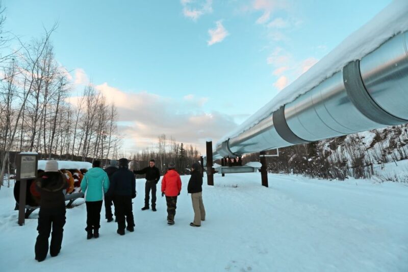 From Fairbanks: Arctic Circle Northern Lights Full-Day Trip - Itinerary Highlights