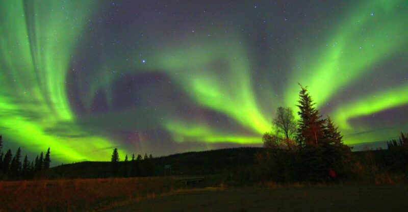 From Fairbanks: Northern Lights & Murphy Dome Tour - Experience Highlights