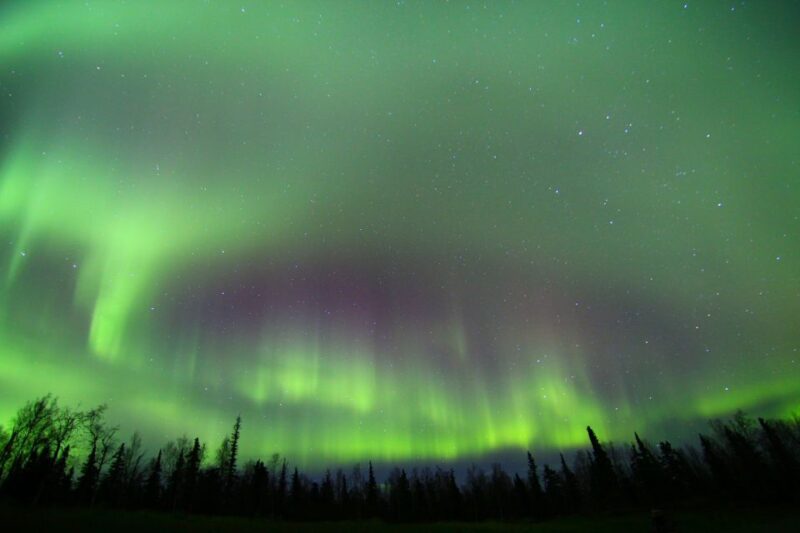 From Fairbanks: Northern Lights & Murphy Dome Tour - Tour Details