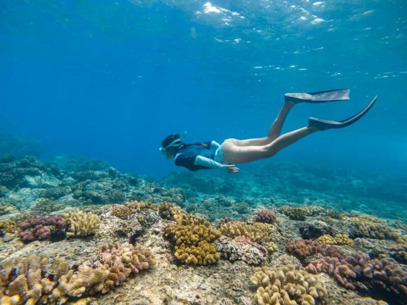 From Fajardo: All-Inclusive Boat & Snorkeling in Culebra Island - Key Points