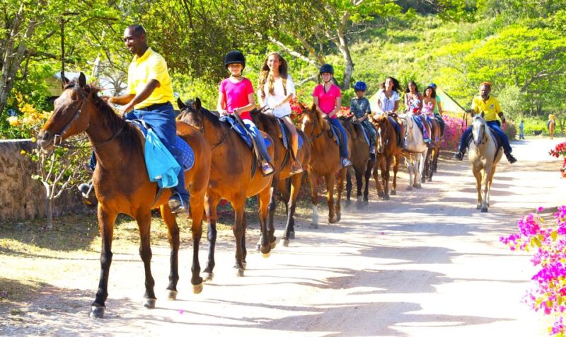 From Falmouth: Horseback Ride and Swim Beach Trip - Participant Requirements