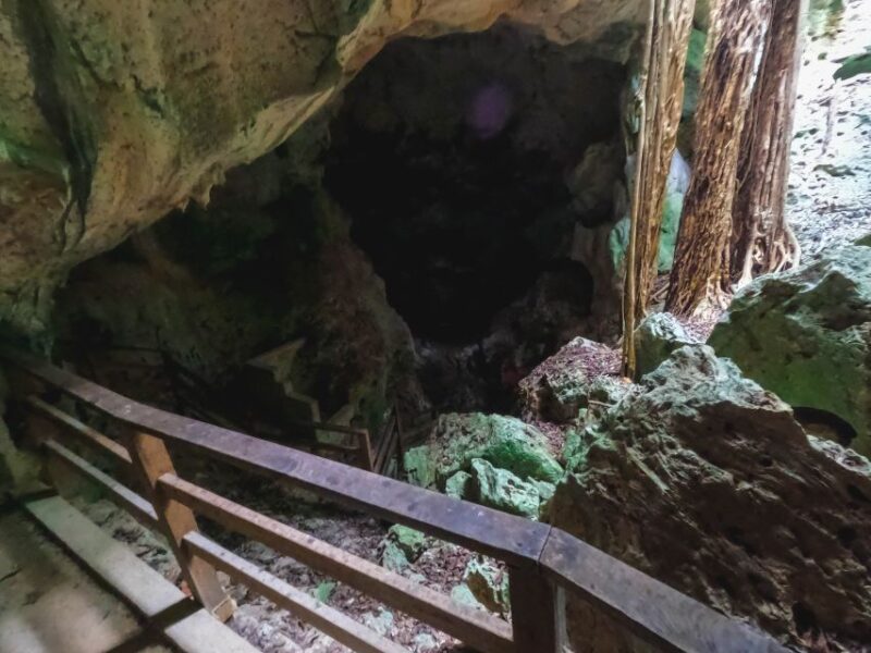 From Falmouth: Horseback Ride N Swim With Green Grotto Caves - Itinerary and Experience