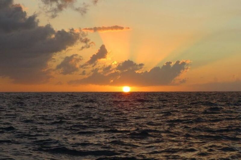 From Falmouth: Seven Mile Beach, Margaritaville & Ricks Cafe - Key Points
