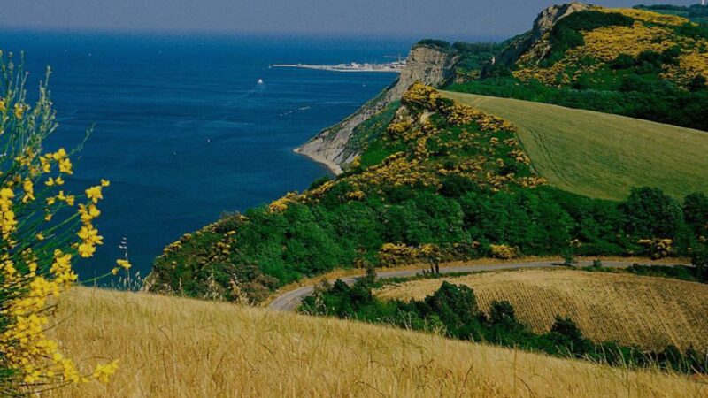 From Fano: Half-Day E-Bike Trip to Rimini - Cancellation Policy
