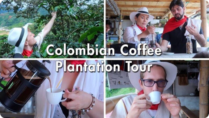 From Farm to Cup: The Ultimate Coffee Tour - Frequently Asked Questions